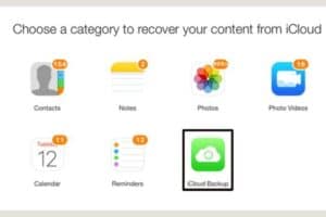 category to recover your content from iCloud
