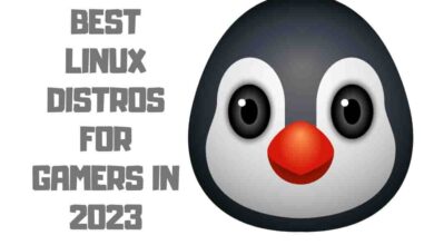 Best Linux Distros for Gamers